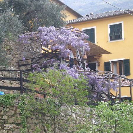 Agriturismo Il Sogno Lorsica ภายนอก รูปภาพ