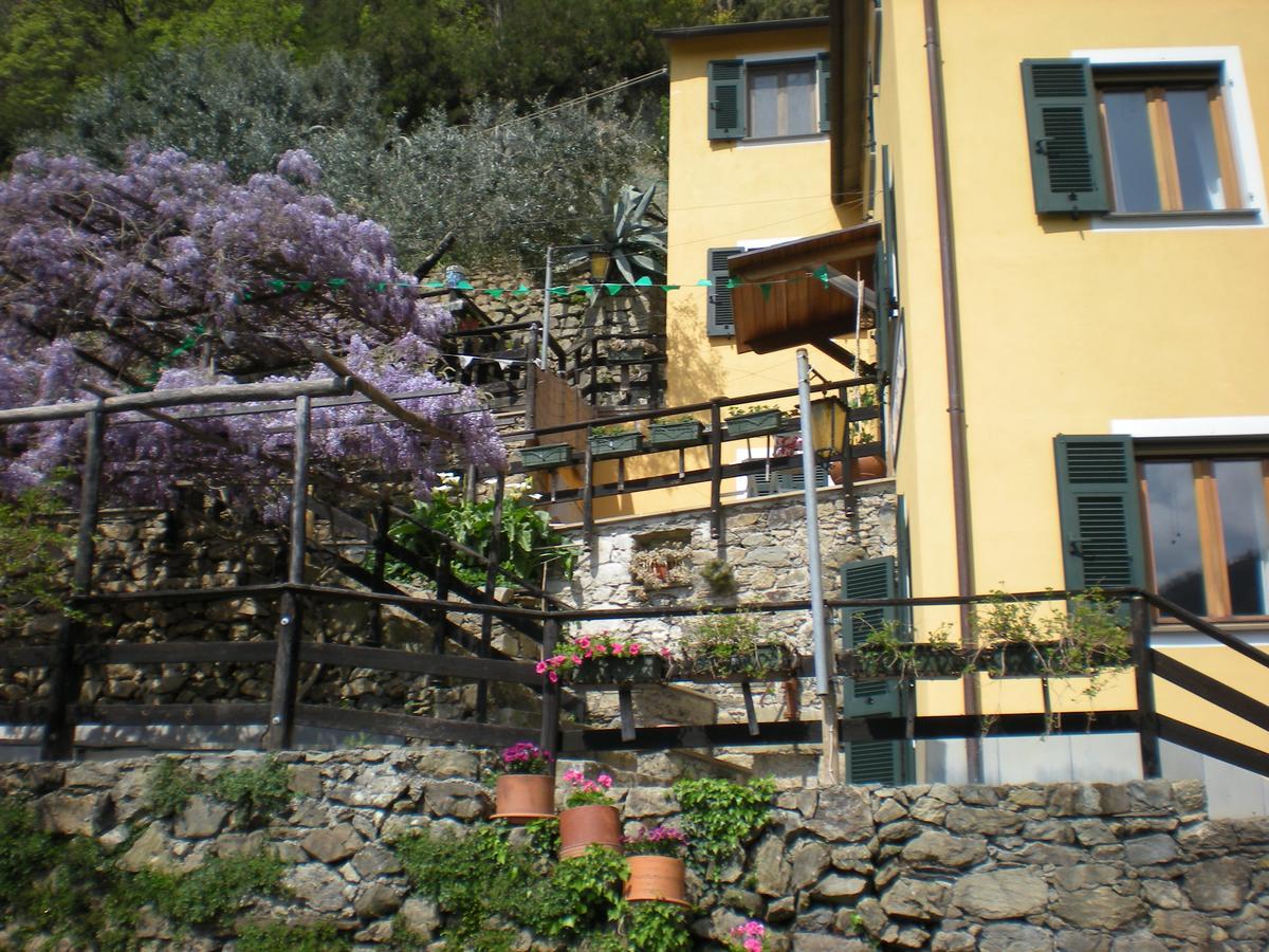 Agriturismo Il Sogno Lorsica ภายนอก รูปภาพ
